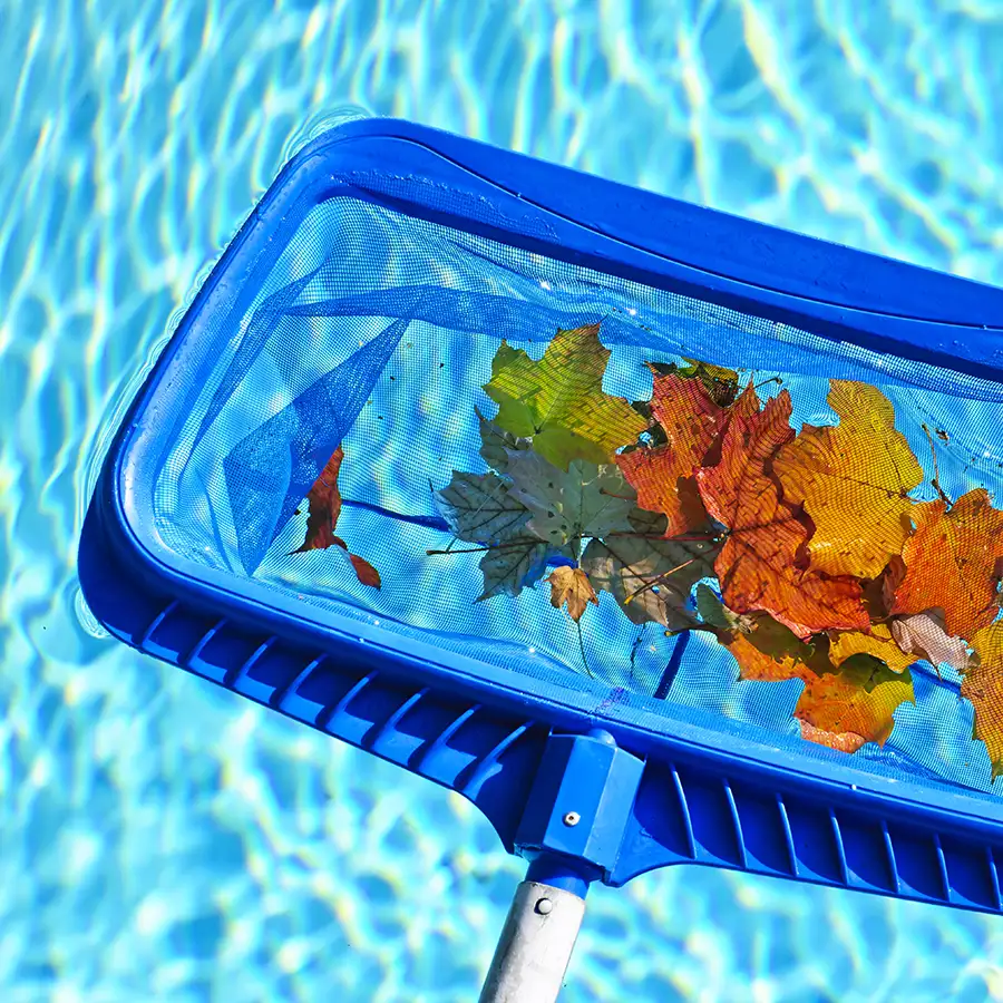 pool skimmer with leaves, cleaning pool - pool supplies - Decatur, IL